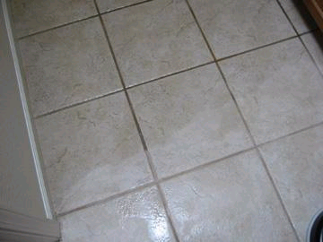 Tile and Grout Cleaning, Taylor Steamer, LLC